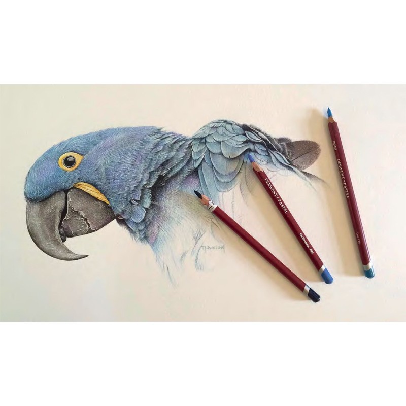 Creioane colorate Pastel Derwent