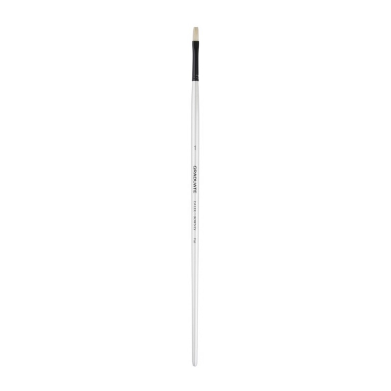 Pensula porc Flat nr. 1 Daler Rowney