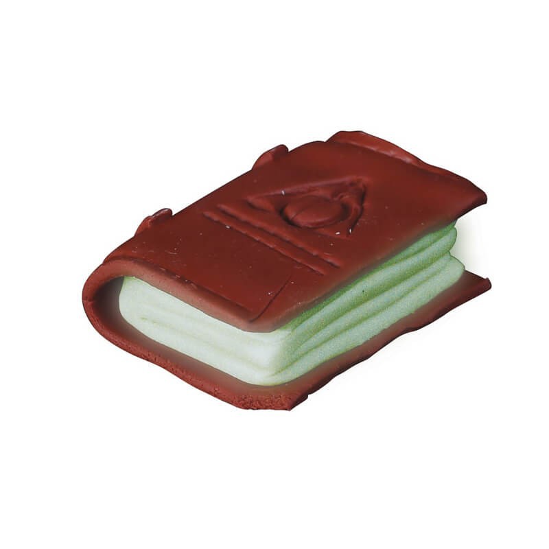 Set patagom fluo Graine Creative
