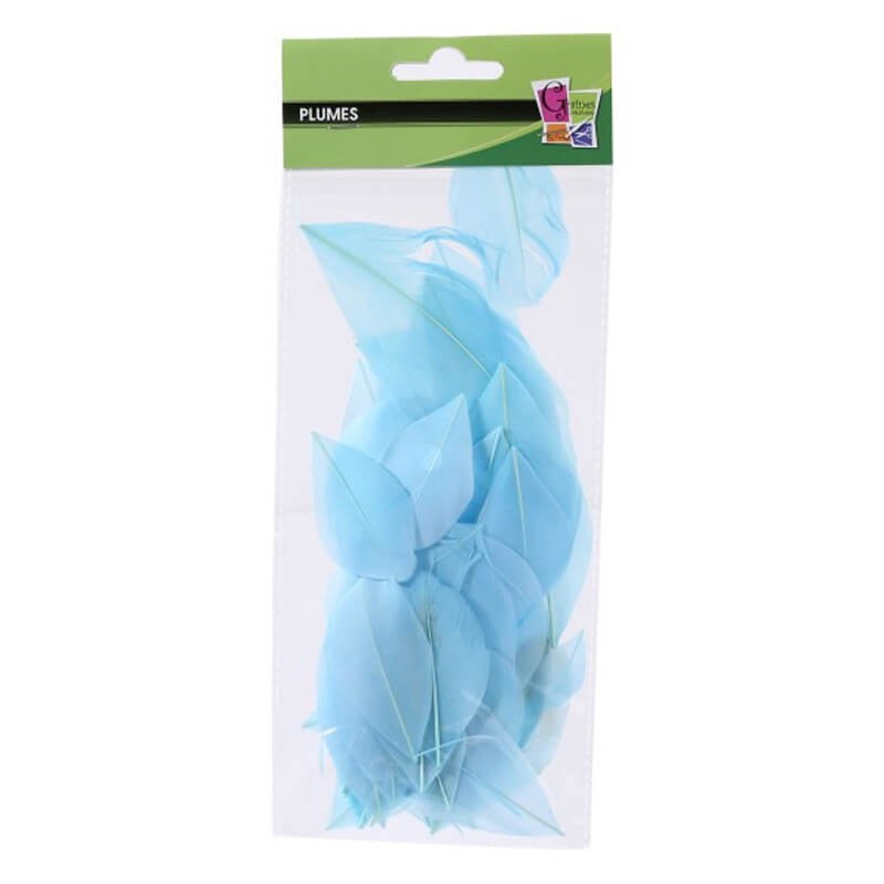 Pene taiate 6 cm Graine Creative
