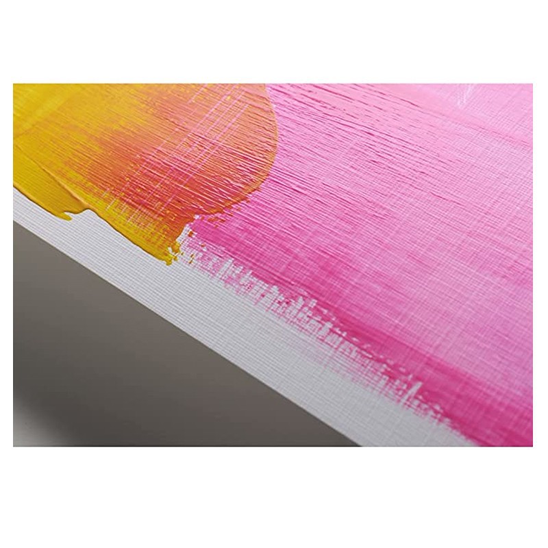 Bloc pictura acrilice Winsor & Newton