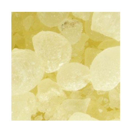 Rasina mastic Chios Kremer - PictorShop