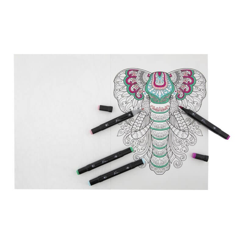 Carte colorat marker animale Grafix