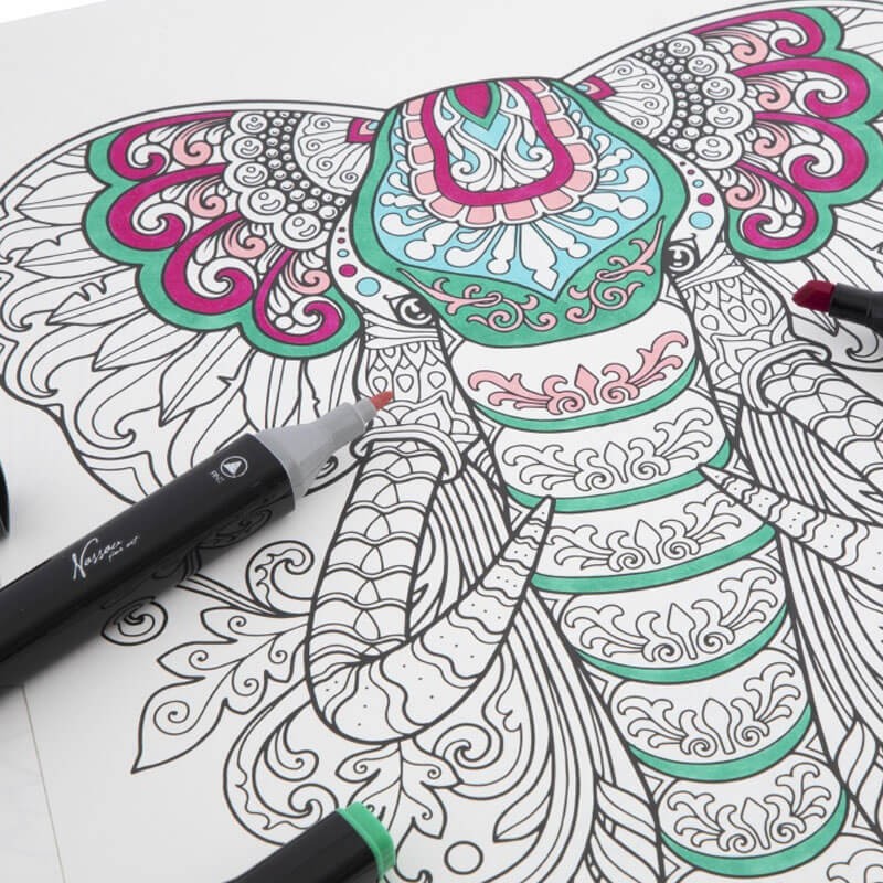Carte colorat marker animale Grafix