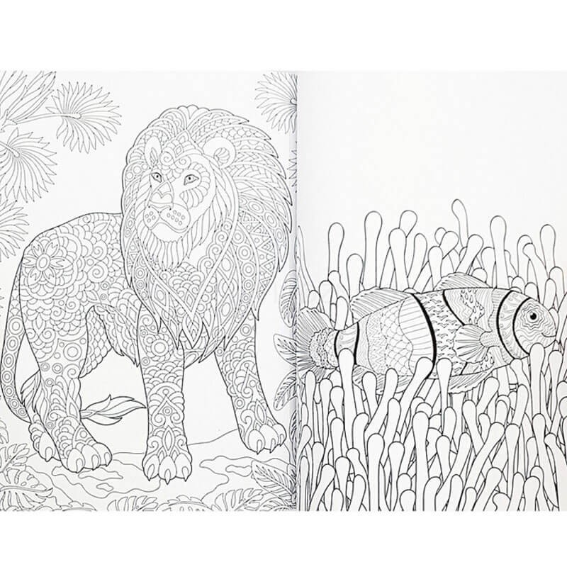 Carte colorat animale 72 coli Grafix