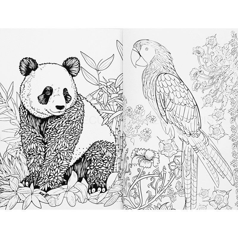 Carte colorat animale 72 coli Grafix