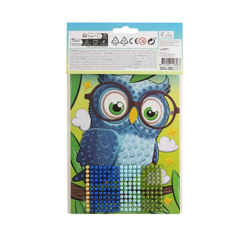Set creativ pictura diamante Bufnita Grafix