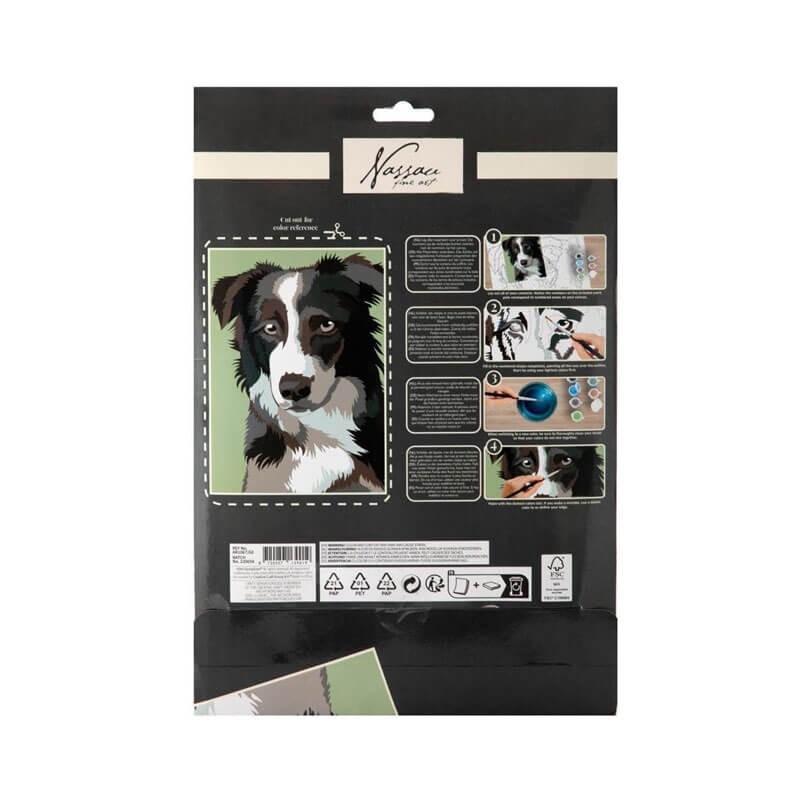 Kit pictura pretiparita Caine Grafix