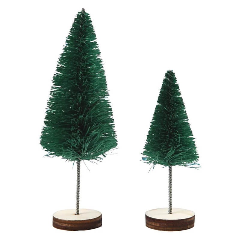 Brazi fir rasucit