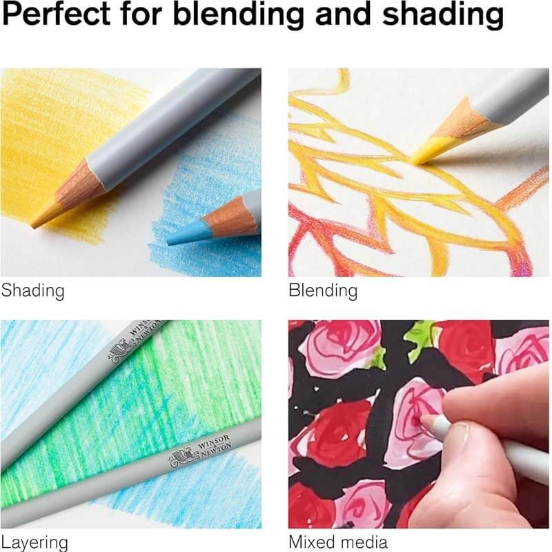 Set 12 creioane colorate Winsor&Newton