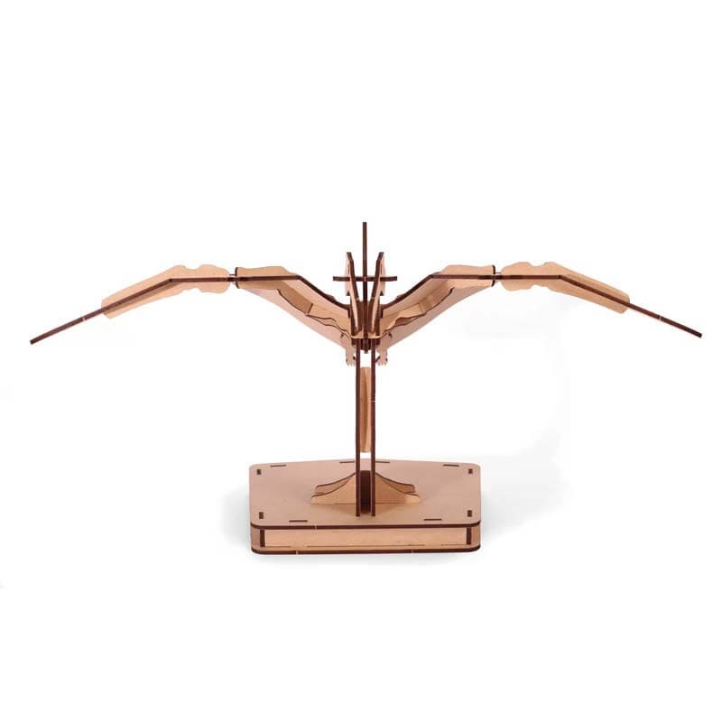 Kit constructie 3D lemn Pterosaur