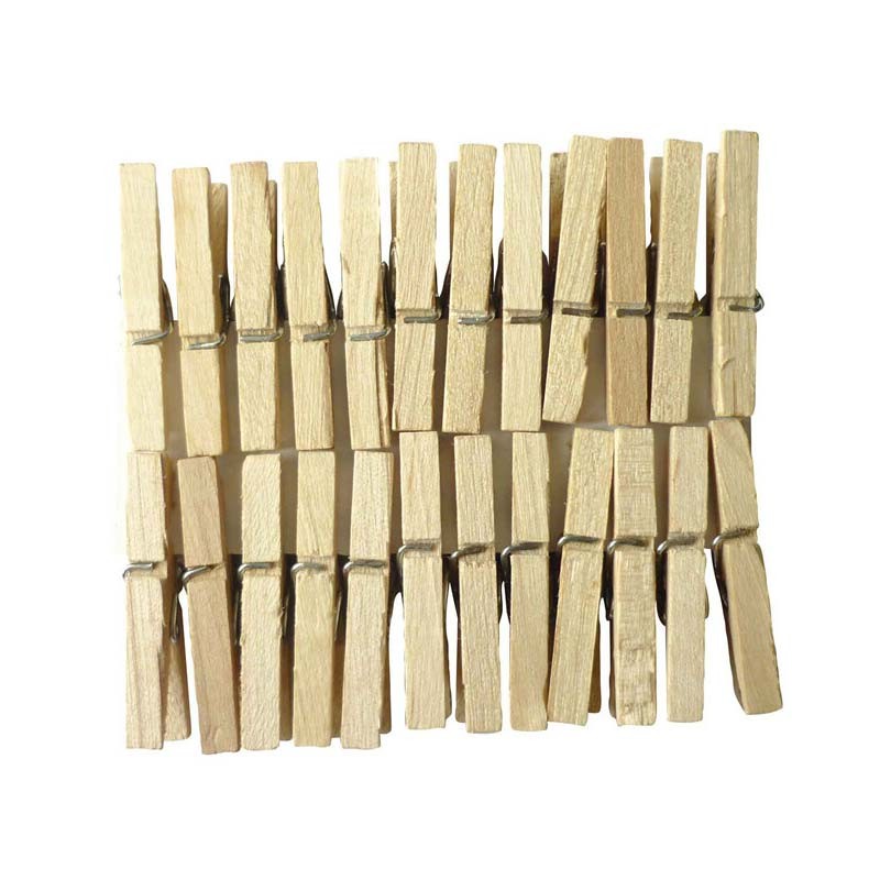 Set 24 clesti natur Graine Creative