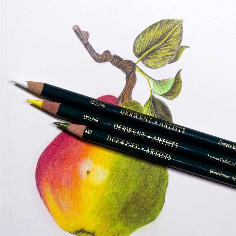 Creioane colorate Artists Derwent