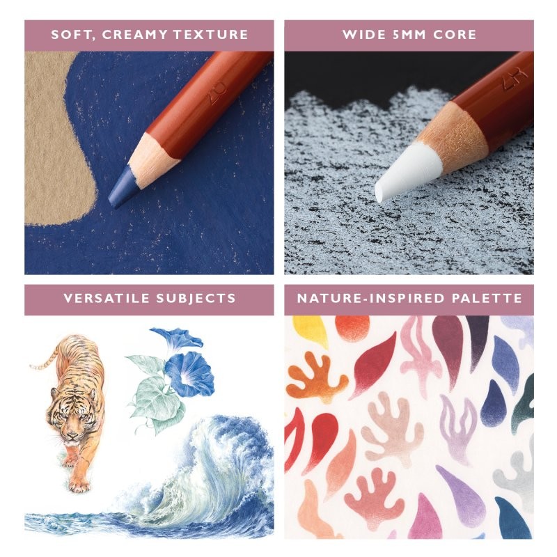 Set 12 creioane colorate Drawing Derwent