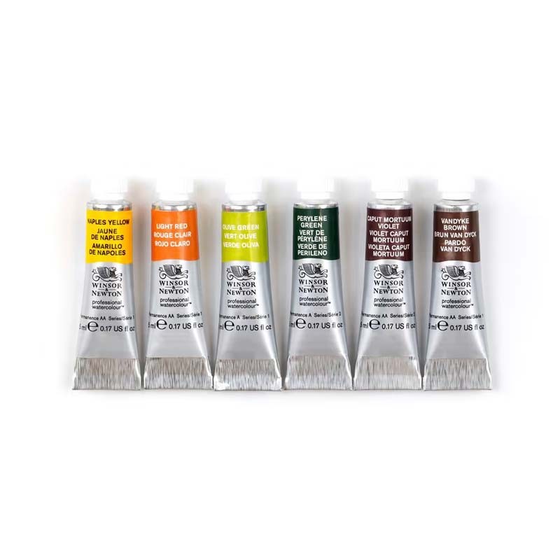 Set 6x5ml Rich Earth Professional Winsor&Newton
