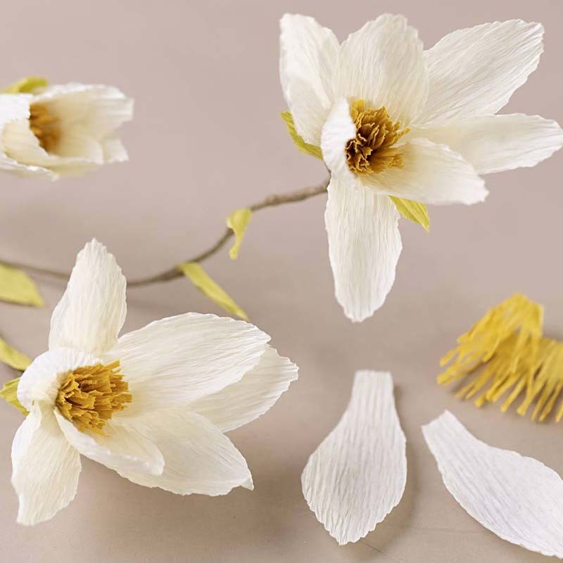 Kit hartie creponata Magnolia Mini Craft