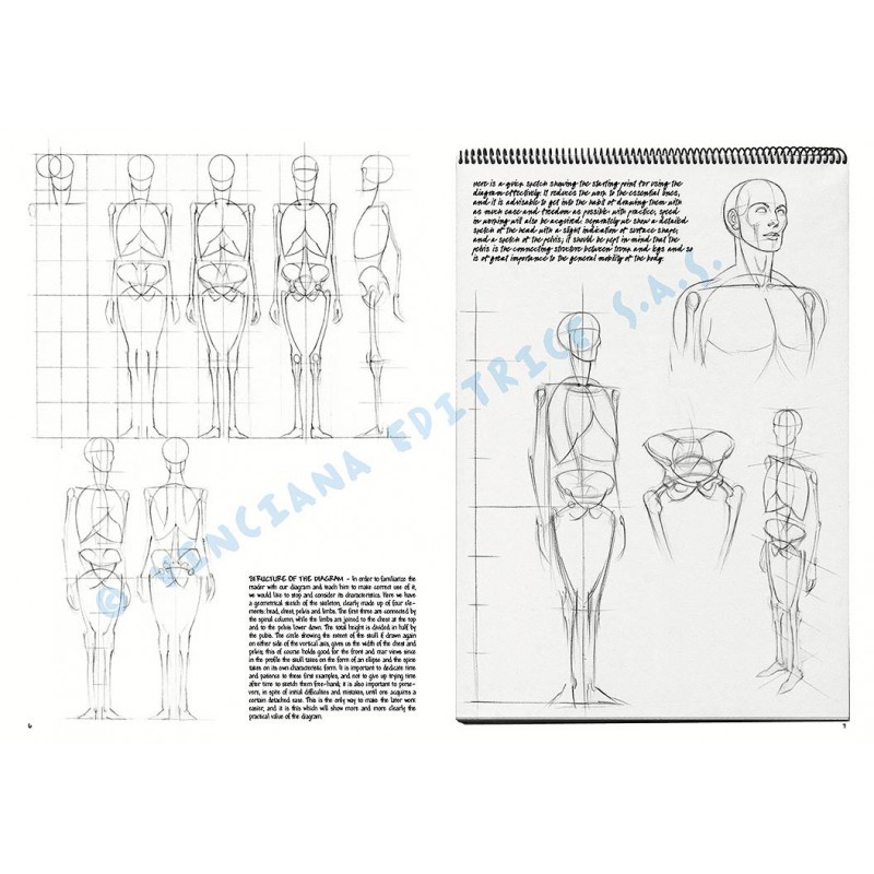 Manual Leonardo The Fundamentals of Drawing vol.2