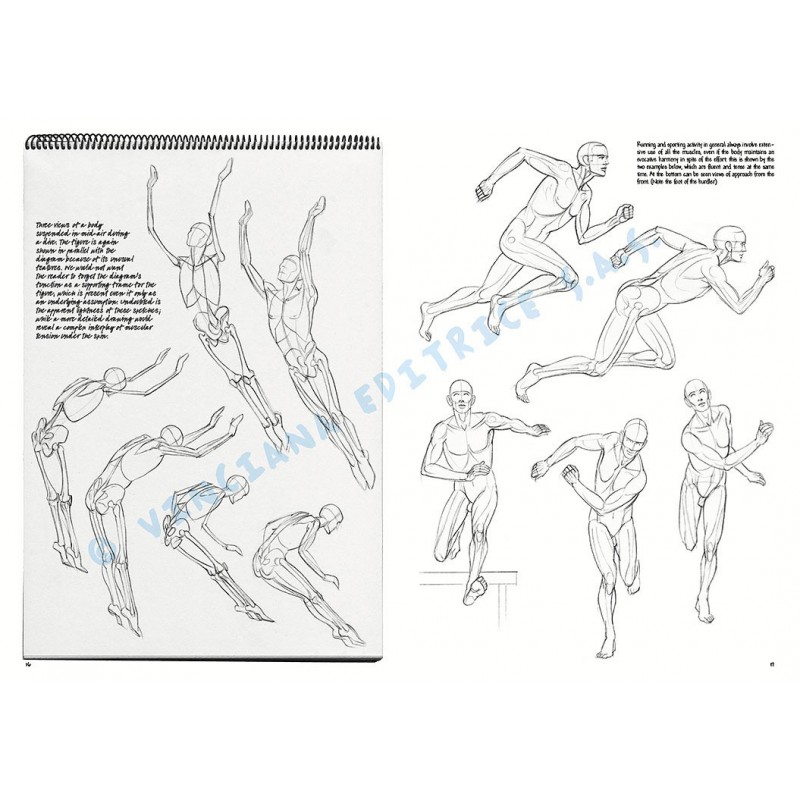 Manual Leonardo The Fundamentals of Drawing vol.2