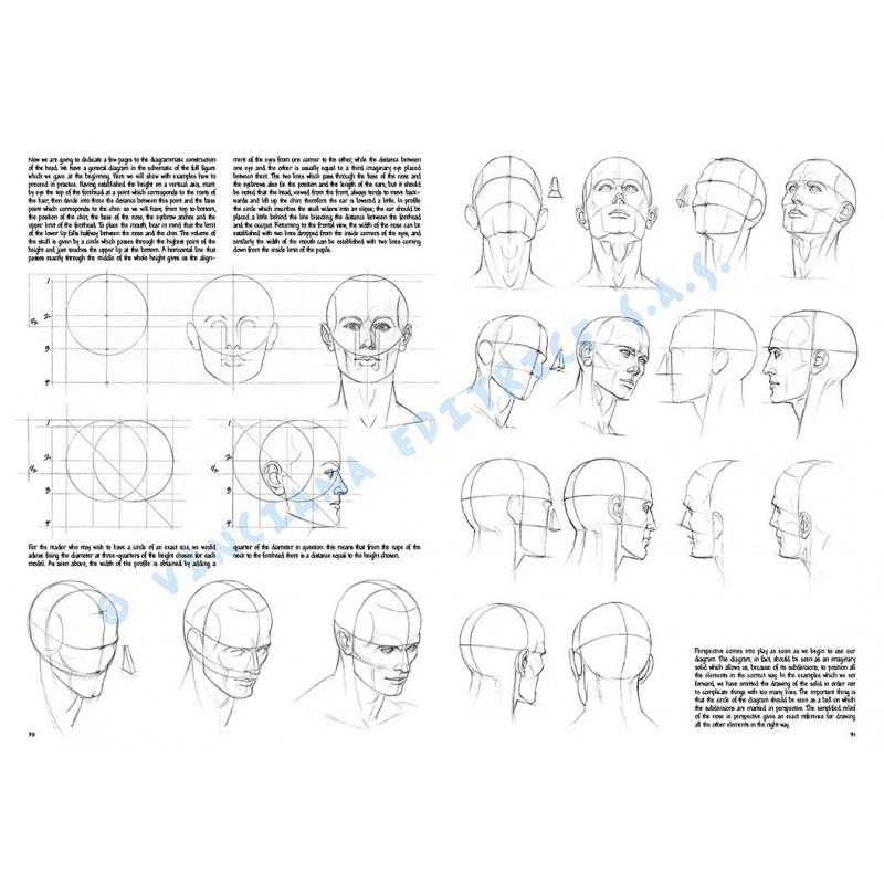 Manual Leonardo The Fundamentals of Drawing vol.2