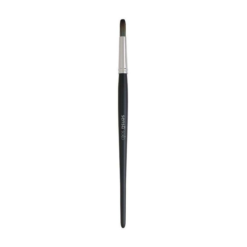 Pensula stylus Sensu Sensu