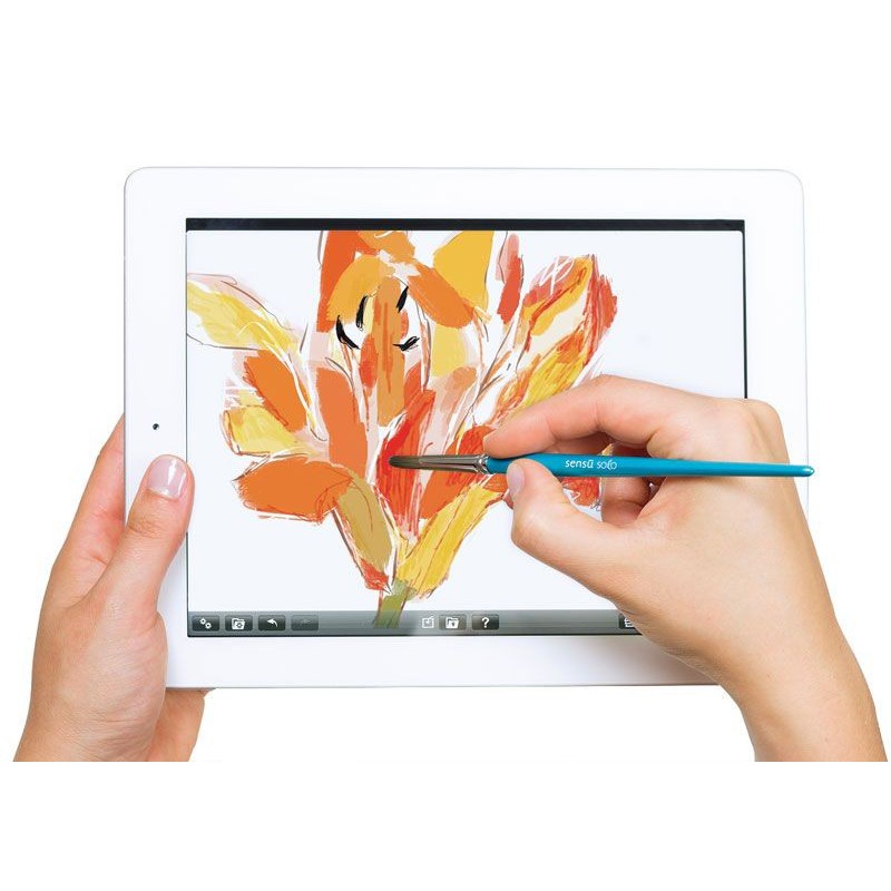 Pensula stylus Sensu Sensu