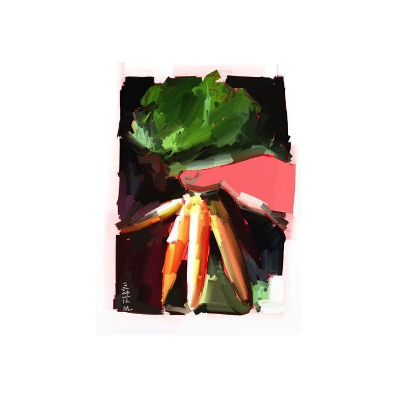 Pensula stylus Sensu Sensu