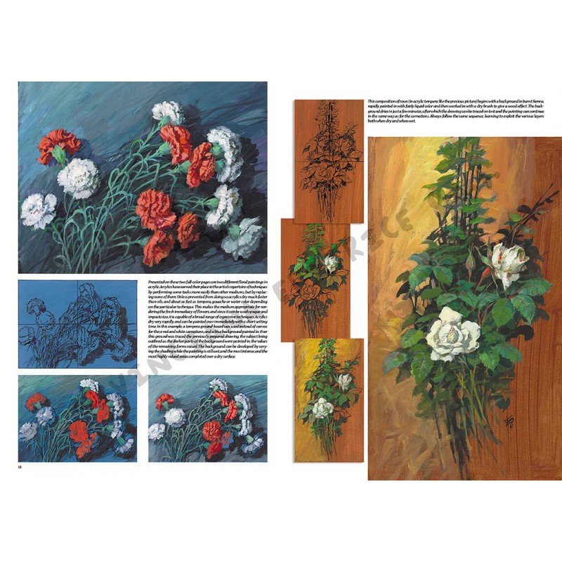 Manual Leonardo Flowers vol. 1