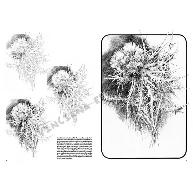 Manual Leonardo Flowers vol. 4