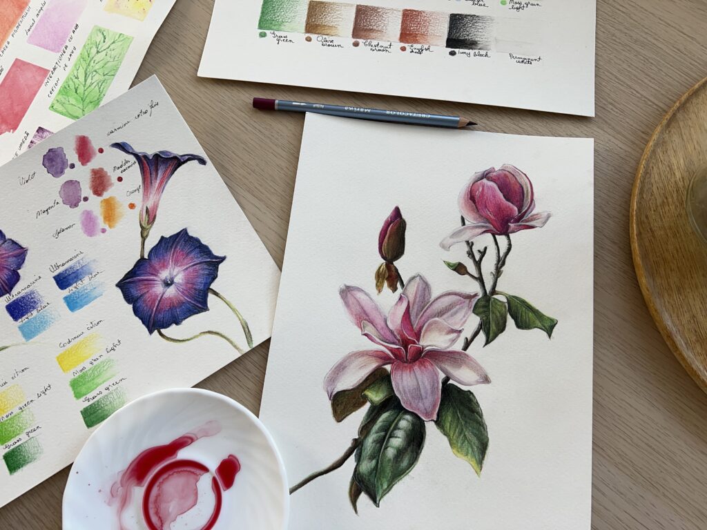 Tutorial cum pictez o magnolie/floare cu creioane acuarelabile?