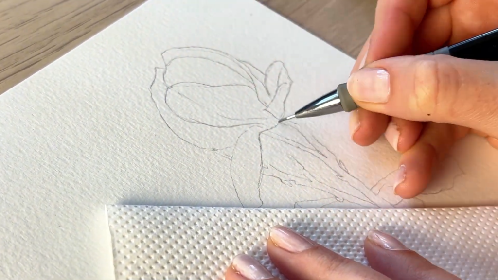 Cum desenez o magnolie? Schiță desen creion