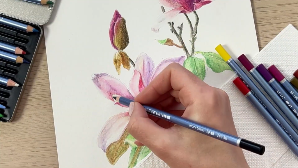 Cum desenez o floare,cum desenez umbre realiste? Creioane colorate acuarelabile