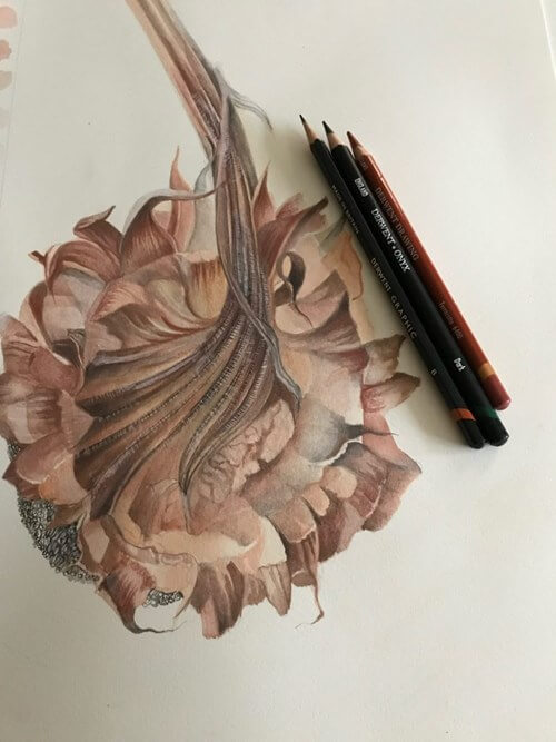 tutorial pictura