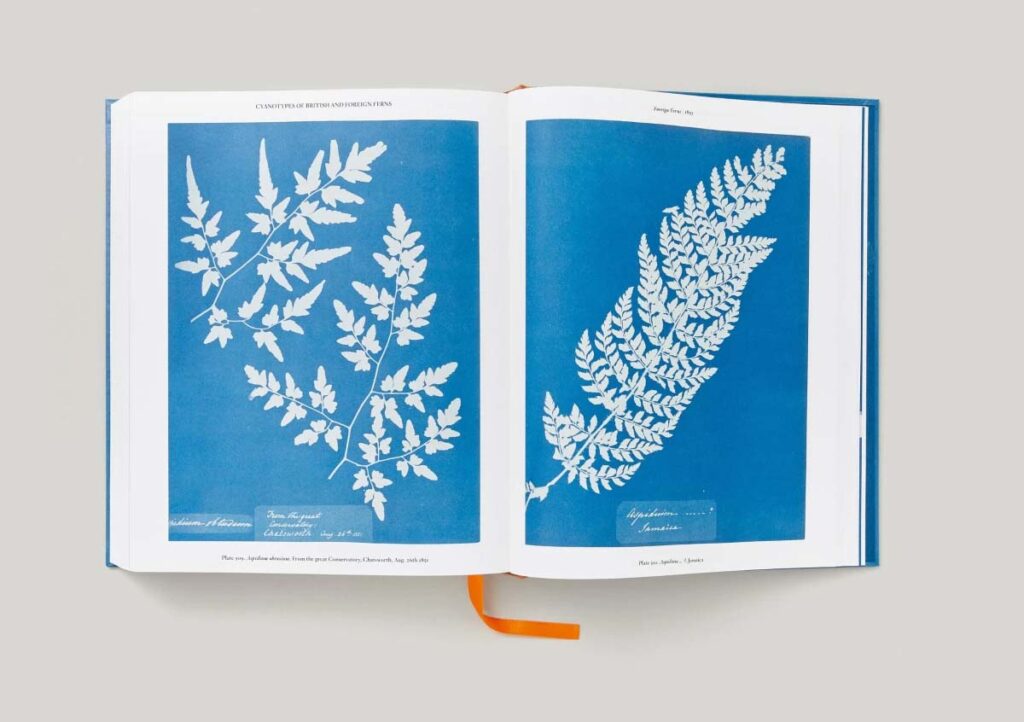 Anna Atkins - Cyanotypes