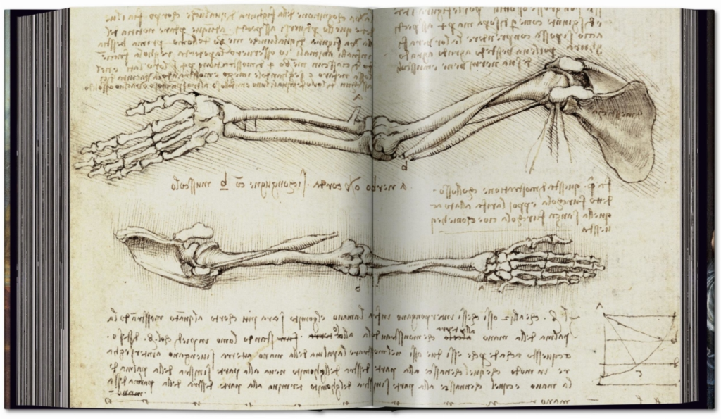 Anatomia și studiul corpului uman, Renaștere anatomie, Leonardo da Vinci