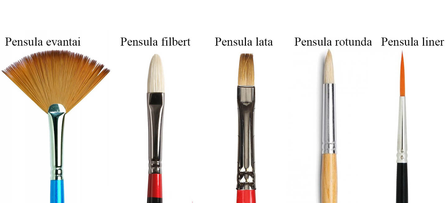 tipuri de pensule pictura ulei