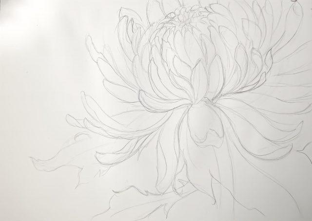 desen floare