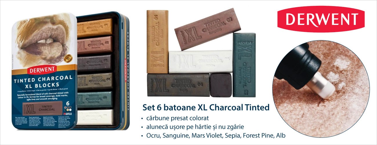 Set 6 batoane carbune XL Charcoal Tinted Derwent
